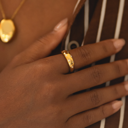 Anillo de la Vía Láctea