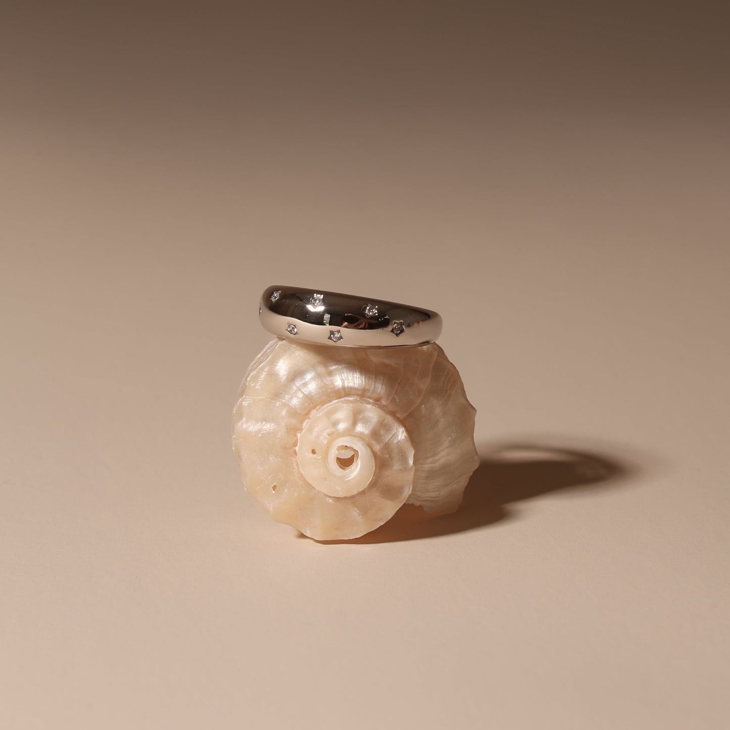 Anillo de la Vía Láctea