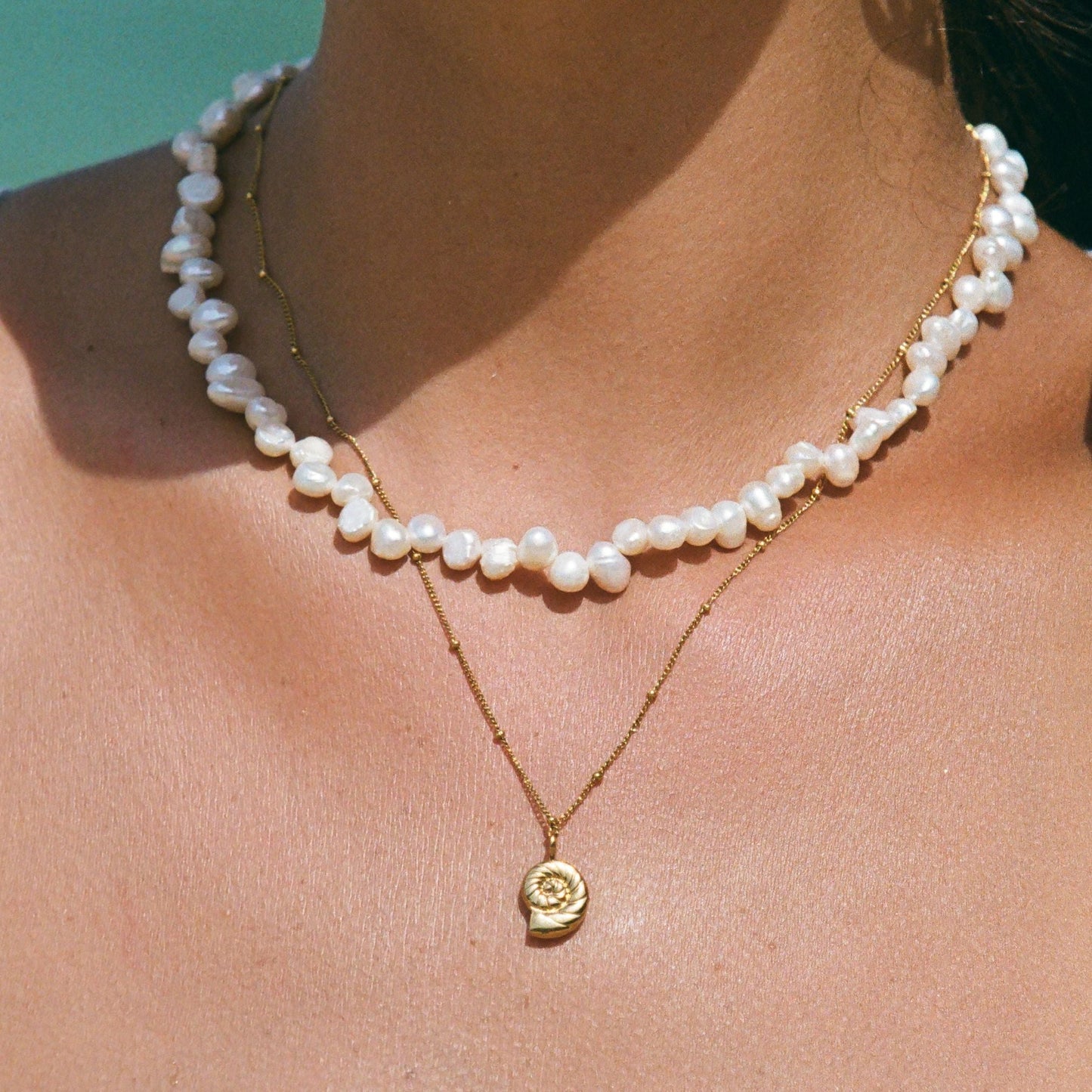 Collar de nautilus