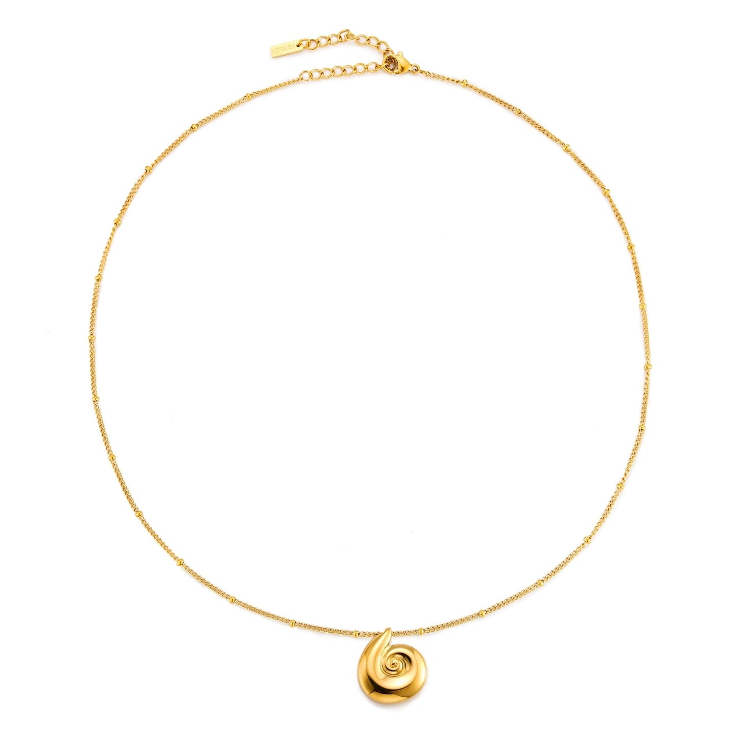 Shell Necklace